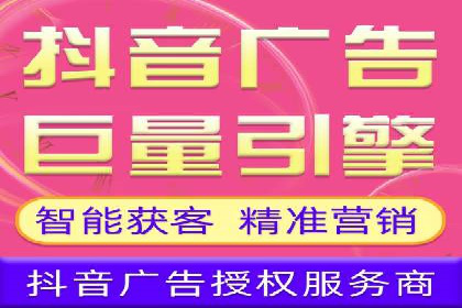 百度推广平台案例剖析：揭秘广告投放策略